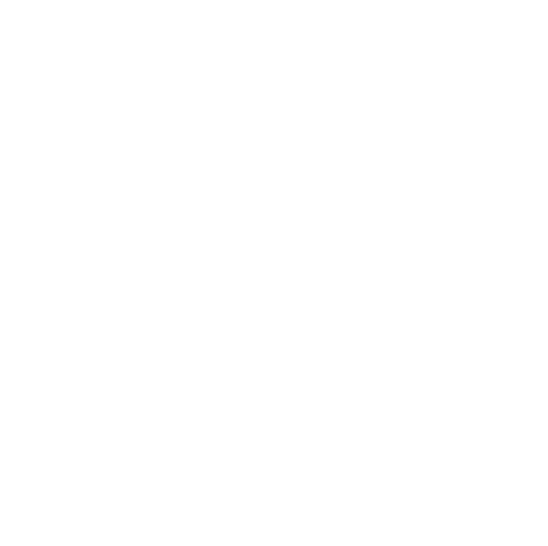 icono persona y fisio